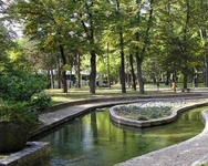 Institut Niska Banja