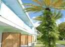 Фото Palm Garden Hotel