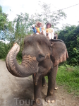 Прогулка на слоне по джунглям.