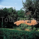 Фото Rome Cavalieri Hilton