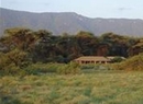 Фото Lemala Manyara Camp Arusha