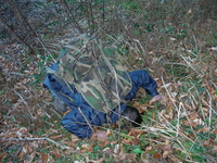 сушняк, журчание 9.36 сушняк, журчание 9.36