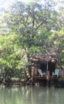 The Mangrove Garden Restaurant & Accommodation