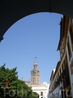 Вид на кафедральный собор в Севилье.
