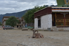 Монастырь Samye Монастырь Samye