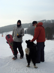 Горно-лыжный курорт Волчанска долина. Местный пес.