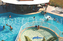 Фото Kamari Beach Hotel Rhodes