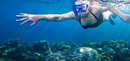 Фото Divers Mabul Resort