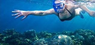 Divers Mabul Resort