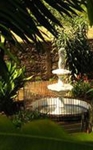 La Catalina Suites and Hotel