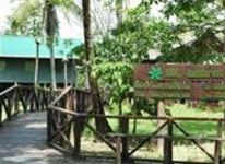 Bilit Rainforest Lodge