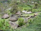 Деревня племя Дани