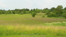 Скоро вырастет кукуруза