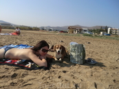Муниципальный пляж рядом с отелем. О критских бездомных собаках напишу и выложу фото позже.