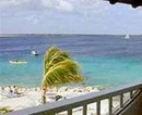 Фото Sand Dollar Condominium Resort