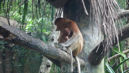 Фото 26 рассказа Singapour  Сингапур