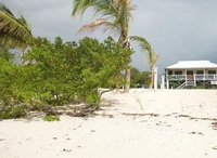 Фото отеля Barbuda Cottages