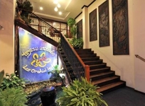 Lao Orchid