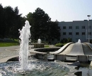 Фото Institut Niska Banja