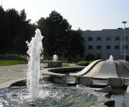Institut Niska Banja
