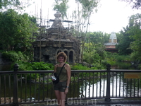 Animal Kingdom