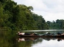 Фото Amazon Reise Eco-Lodge