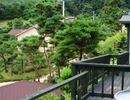 Фото Elnido Pension