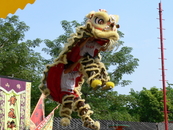 Храм поклонения предкам Фошань
Танец дракона