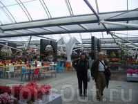 павильон Willem - Alexander - это там где представлены скрещенные виды тюльпанов - в самом "сердце" парка Keukenhof