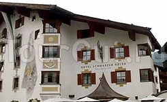 Schwarzer Adler