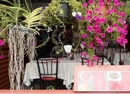Фото Baan Phil Guesthouse