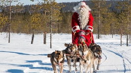 Санта Клаус на собачьей упряжке