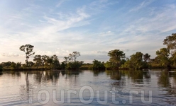 Живописная дельта реки. Живописная дельта реки.