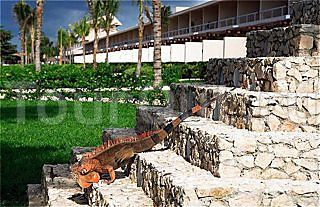 Presidente Intercontinental Cozumel Resort & Spa