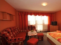 Palusak