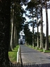 Прогулки