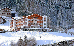 Alpen Hotel Rainell & Am Rainell Hof