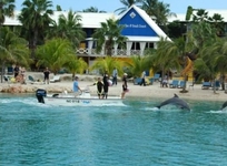 Lions Dive Beach Resort Curacao