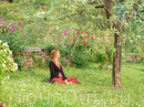 Медитация в Саду Роз