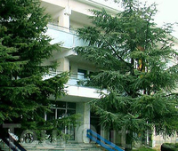 Фото отеля Рябинка Фото отеля Рябинка
