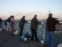 Рыбаки ловят скумбрию