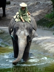 Singapore Zoo