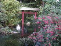 Леверкузенский Японский сад