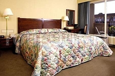 Best Western Irazu Hotel & Casino Best Western Irazu Hotel & Casino