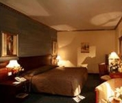 Tulip Inn Olaya House