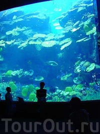 Океанариум Siam Ocean World