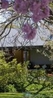 Фото Arrowtown House Boutique Hotel