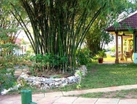 Rhodes Resort Jamaica