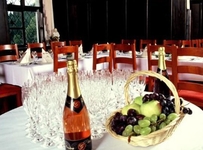 Wine Growers Mansion Zlati Gric