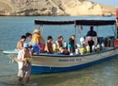 Фото Oman Dive Center